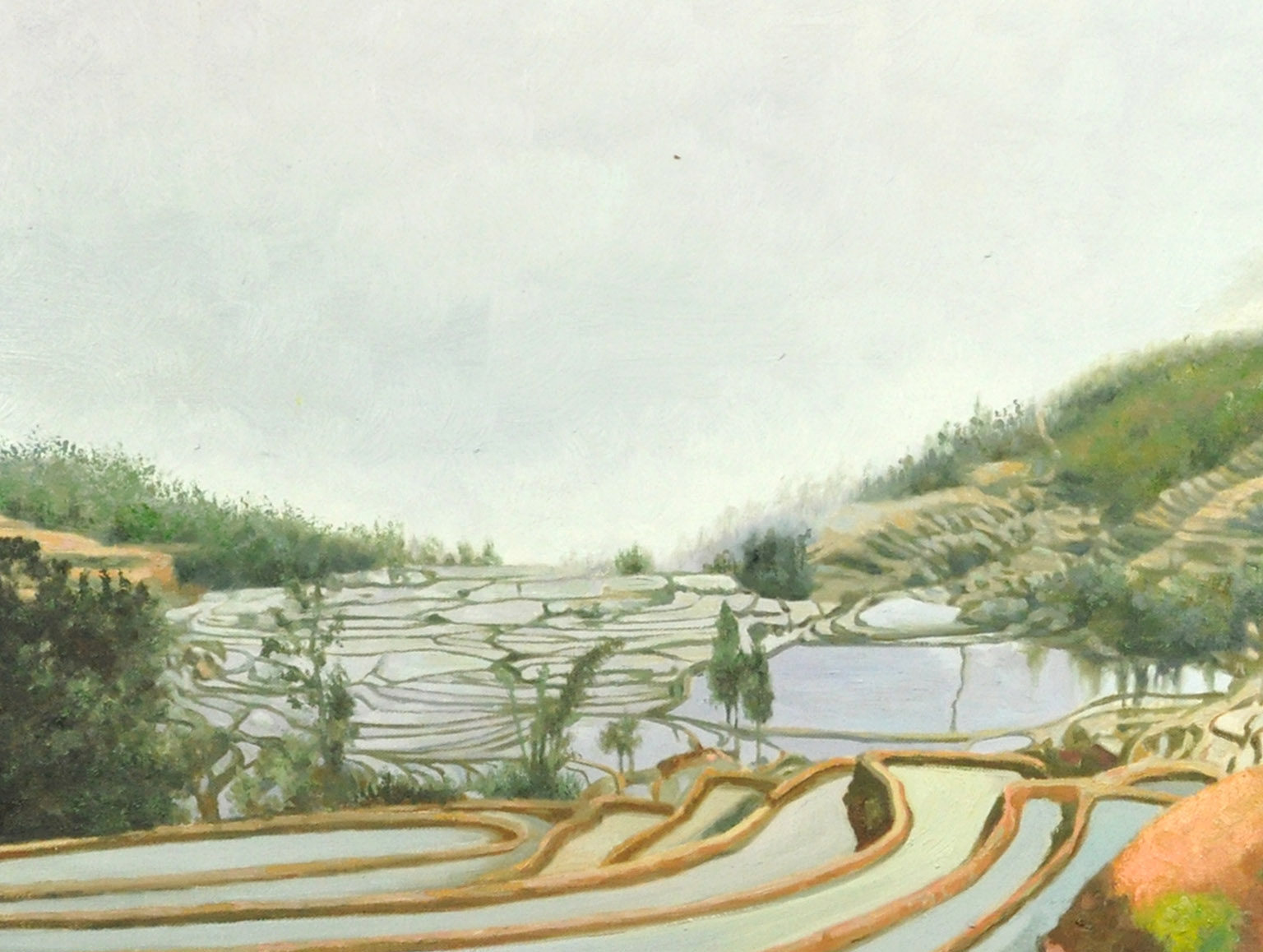 董江贤《 元阳梯田系列二》120*80cm 布面油画
