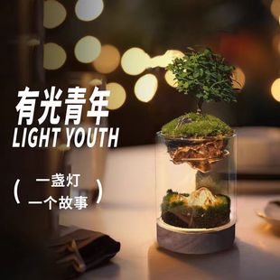 苔藓造微景观生态桌面绿植diy植物盆栽创意小夜灯送朋友生日礼物