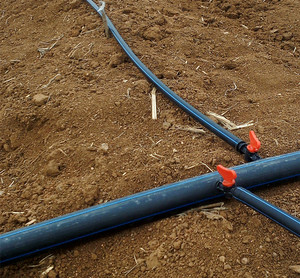 微喷滴灌pe管50图片