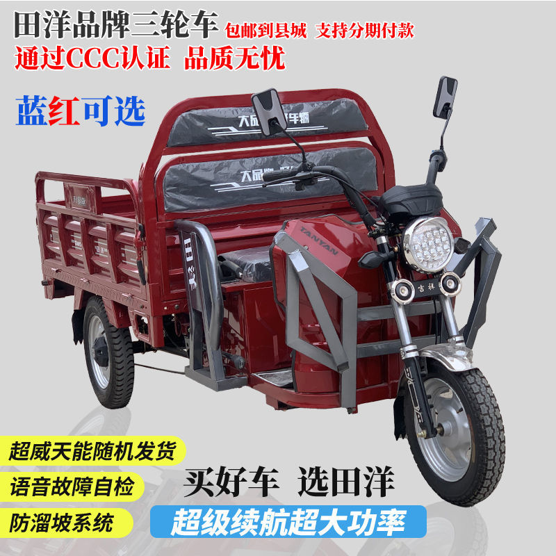 田洋电瓶成人代步货车载重王快递电瓶车家用拉货农用电动三轮车