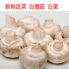 新鲜白蘑菇 鲜菇 美味白菌 营养丰富高级蔬菜 绿色食品 500g/份