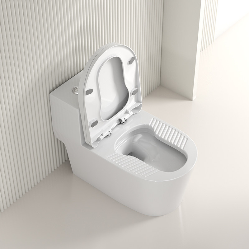 蹲坐两用马桶二合一体台式坐便器改蹲便器明装坐厕免砌台陶瓷蹲坑已售