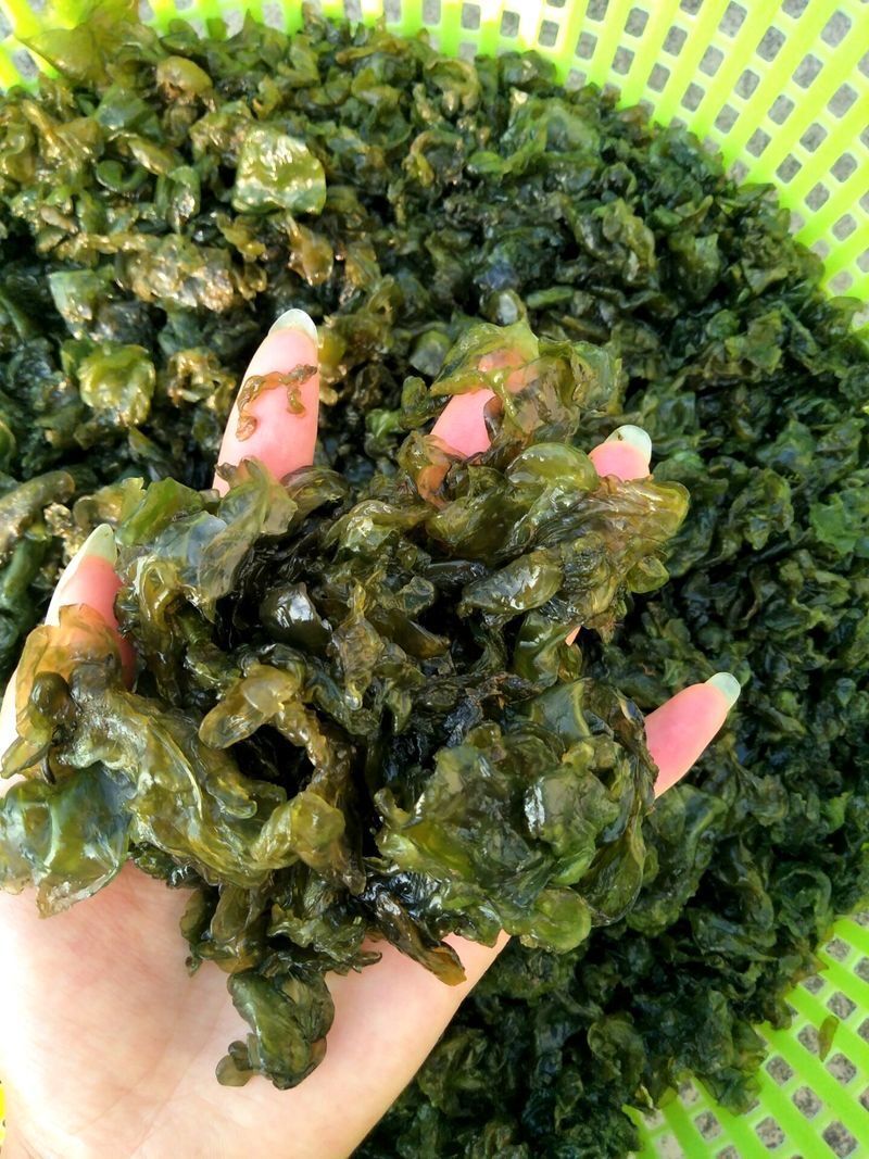 雷公菌新鲜野菜地达菜500g软软地皮菇雷公屎野生蔬菜非免洗地皮菜