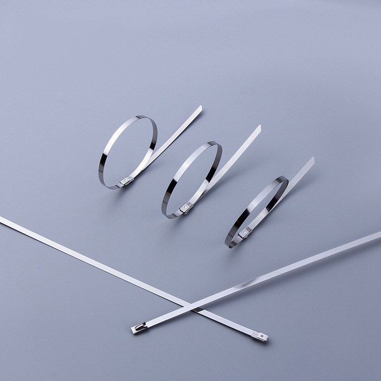 304不锈钢金属铁扎带白色 4.6*200mm自锁固定捆绑船用电缆防腐蚀