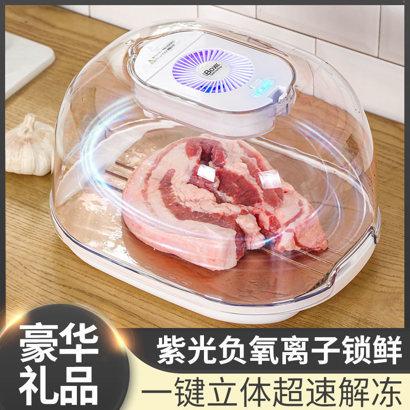 家用保鲜解冻肉类快速化冰器解冻板急速自动解冻机食品解冻盘厂家