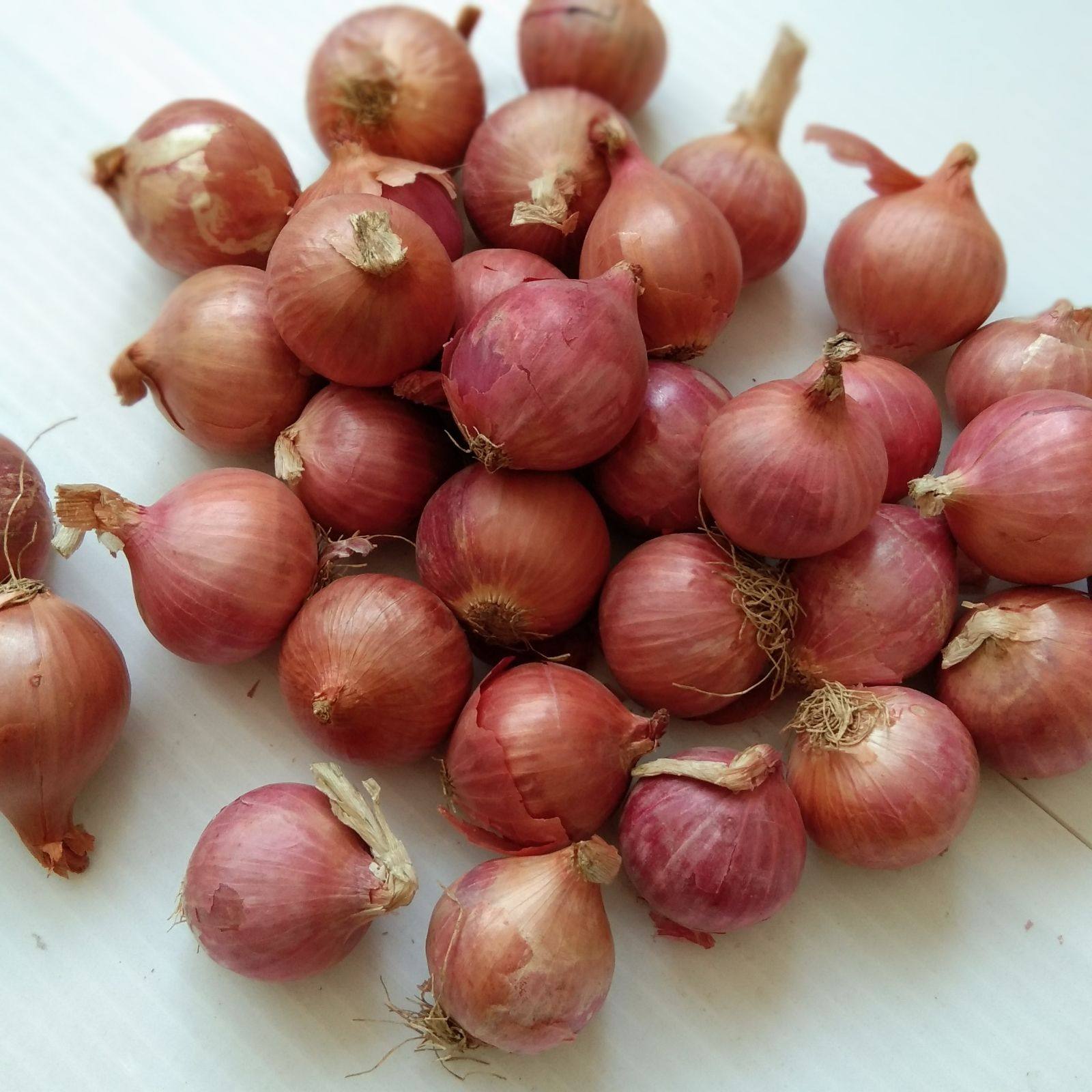 特香调味5斤装单粒红葱头珠葱小毛葱头干葱头熬葱油广东肠粉酱料