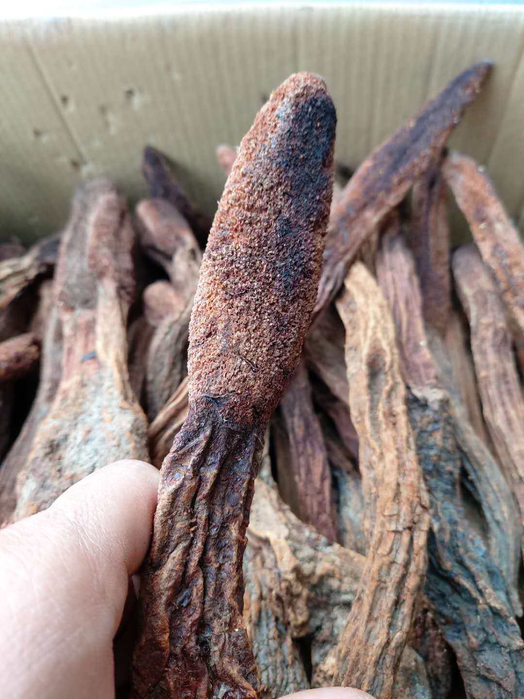 一折锁阳野生特级500g