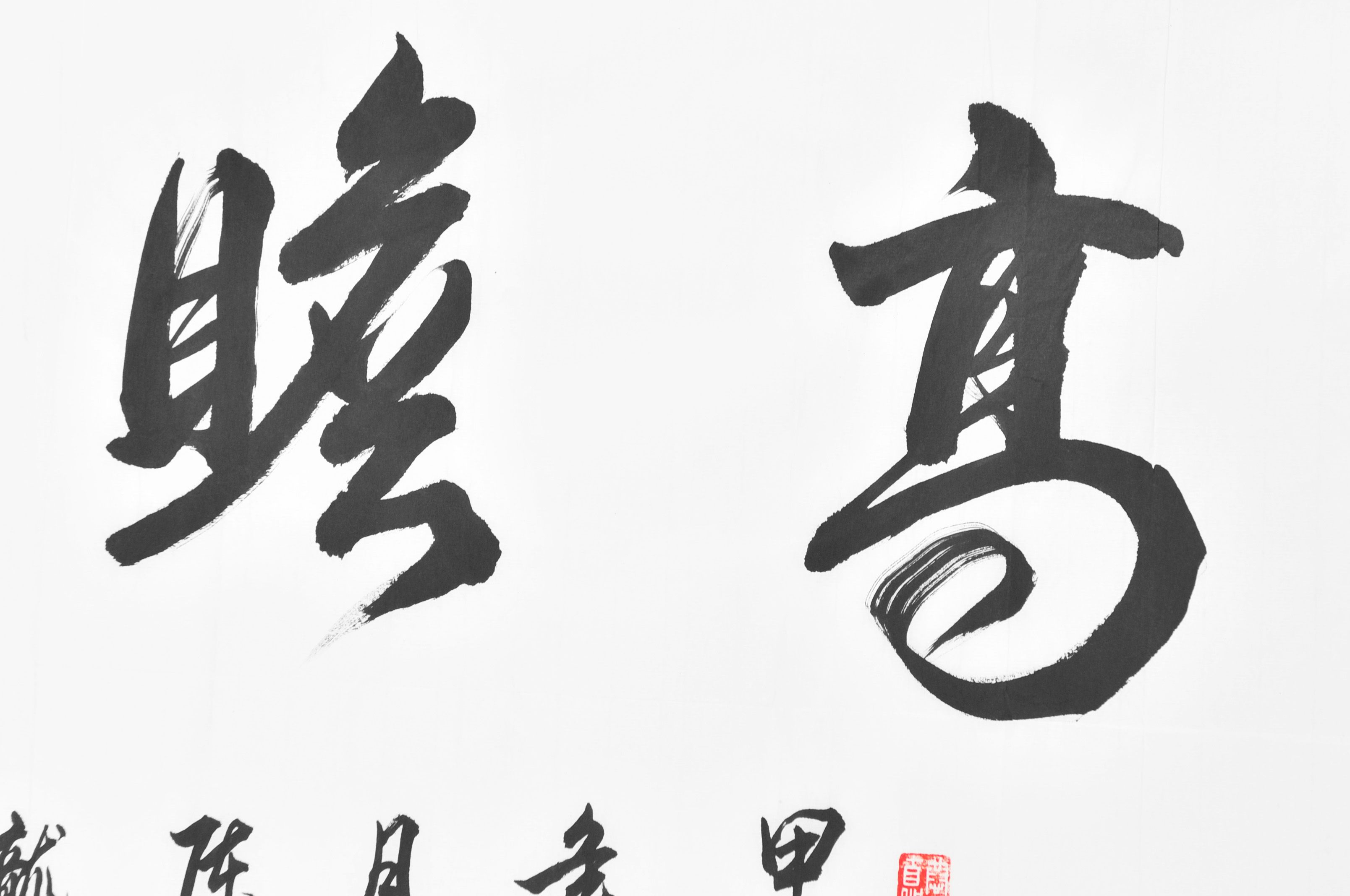 陈方龙作品《高瞻远瞩》浙江省老年书画研究会研究员