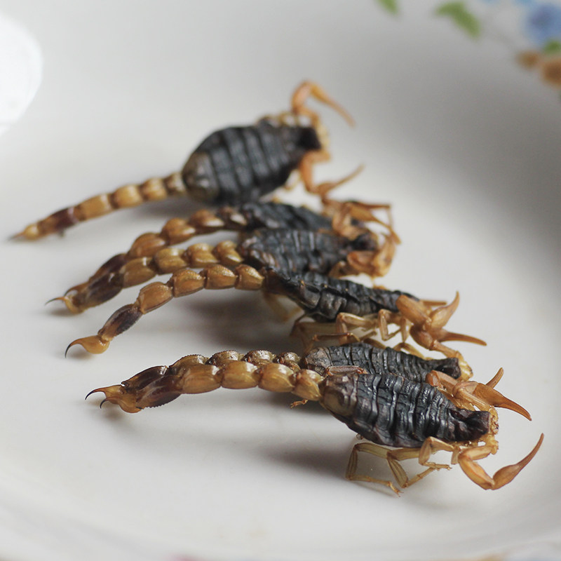 特价蝎子油炸_清水蝎子全干非油炸蝎子干非盐水蝎干伏牛山野生十足