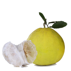 新鲜水果白肉蜜柚湖南湘西农户特产柚子两个果约4—5斤