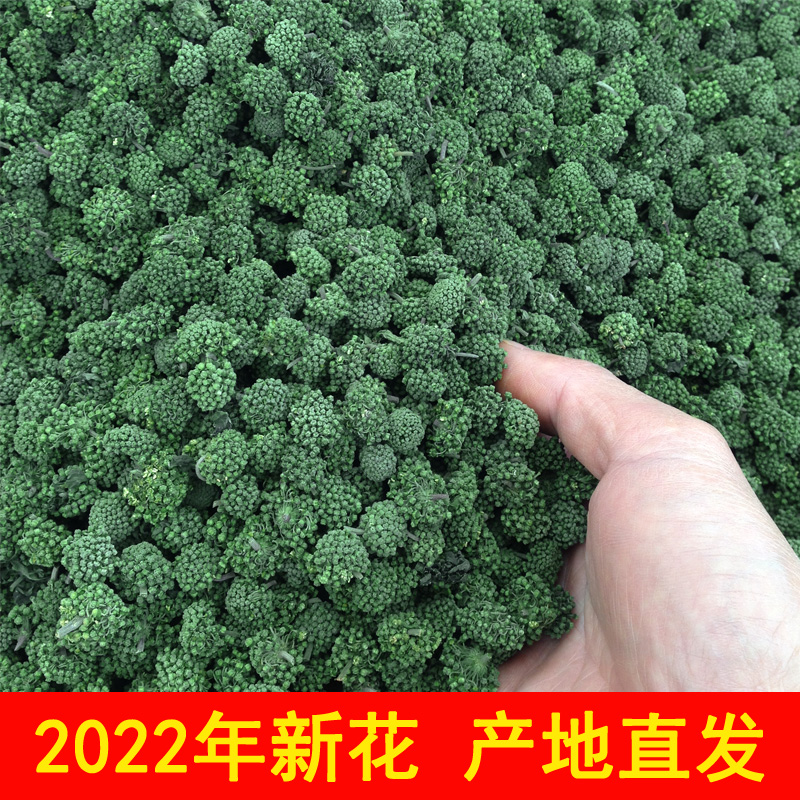 2023新花绿健三七花250g云南文山正品4年田七花茶新花