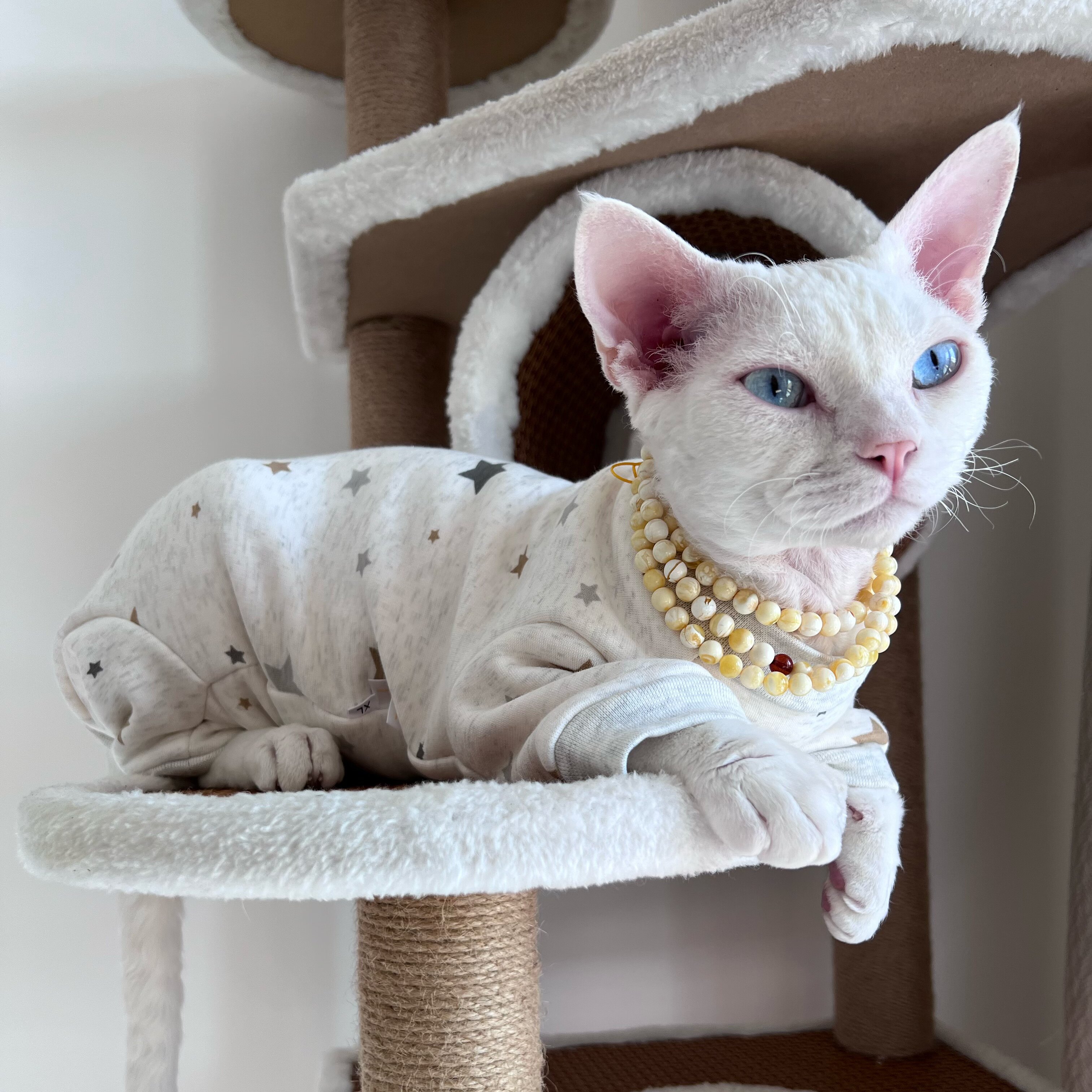 安德卫-特价促销-优惠券领取-价格|多少钱|什么牌子好-35优惠券网站