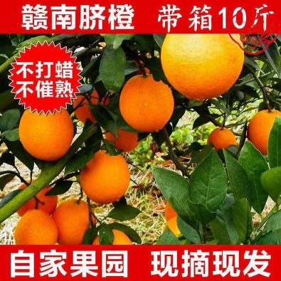江西赣州橙子10斤装精品官方旗舰店正宗赣南脐橙新鲜水果产地直发