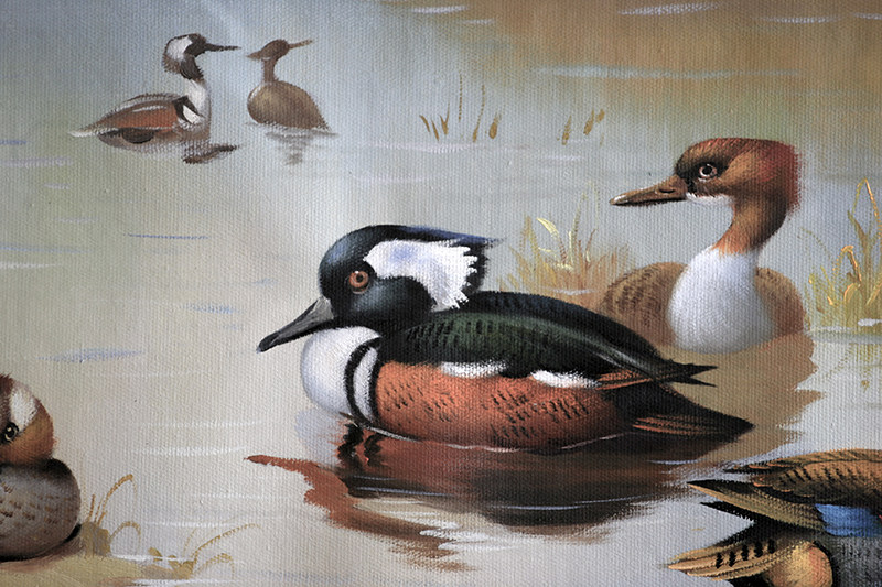 林小婷《鸳鸯》写实派画家