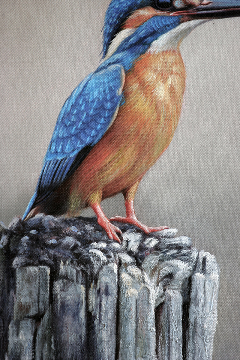 【学院艺术】福建师范学院 黄少武《小翠鸟》|写实精品