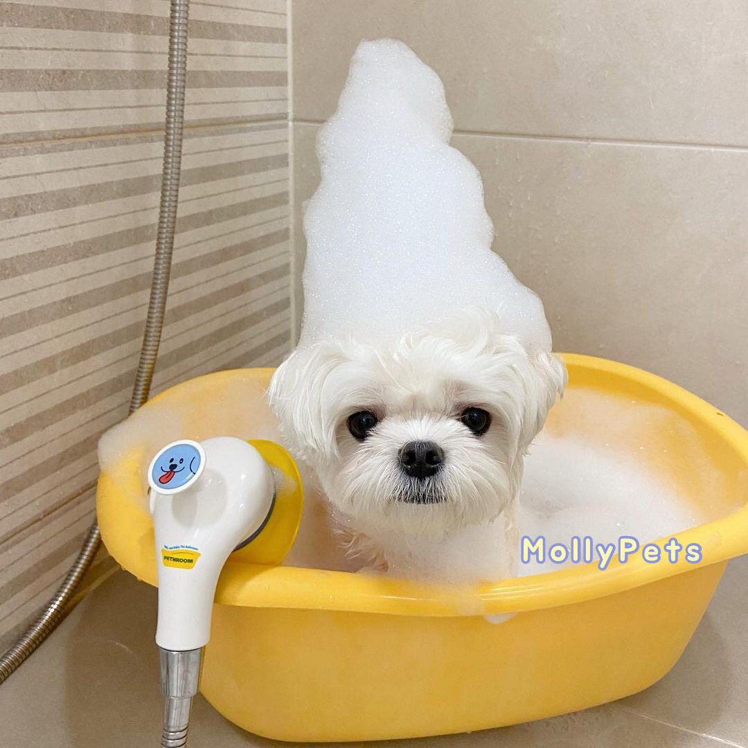 现货mollypets韩国pethroom宠物猫狗淋浴低压舒缓按摩花洒喷头