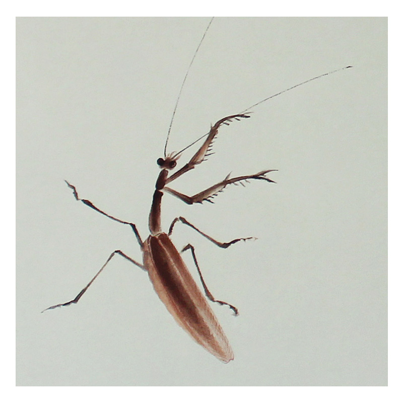 【直供周】罗小平 《螳螂蜻蜓》 纸本国画