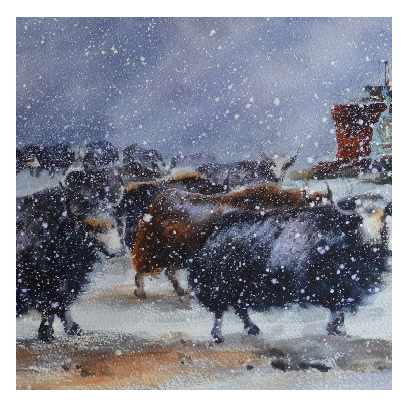 中国美术家协会会员 赵生国 《牦牛》 纸本水彩