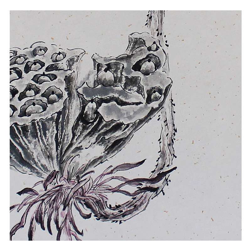 【直供周】罗小平 《莲子》 纸本国画