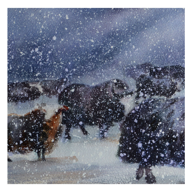 中国美术家协会会员 赵生国 《牦牛》 纸本水彩