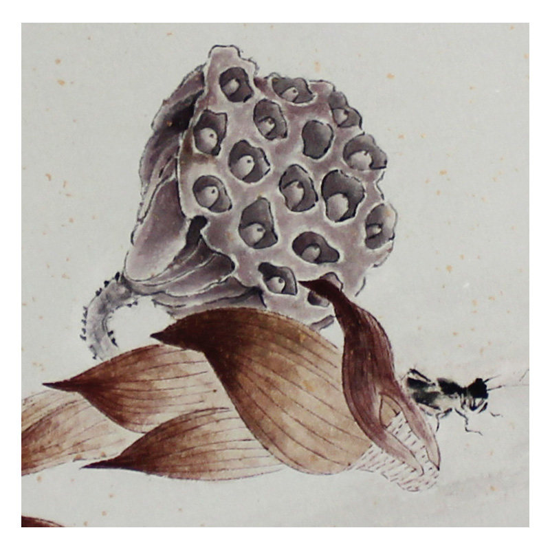 【直供周】罗小平 《竹笋》 纸本国画