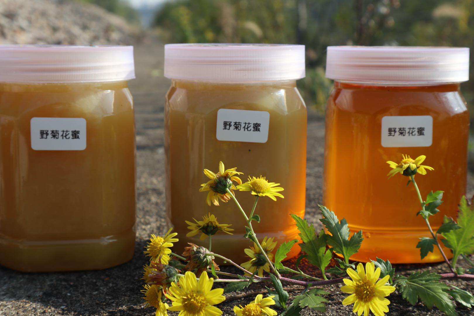 隆回深山无污染自产农家菊花蜂蜜采收2020年10月份500克