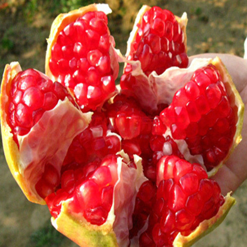 一折临潼石榴陕西特产新鲜包邮