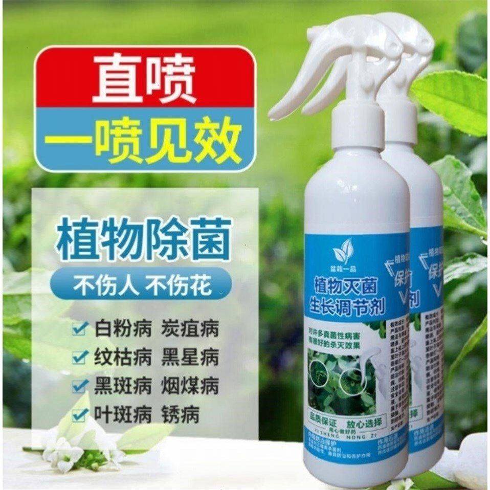 灭菌生长调节剂叶子白粉病特效药杀菌剂月季叶子黑斑病多肉烟煤病