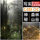 【精品】C4D OC写实渲染三维3D植物场景丁达尔雾气森林山谷工程