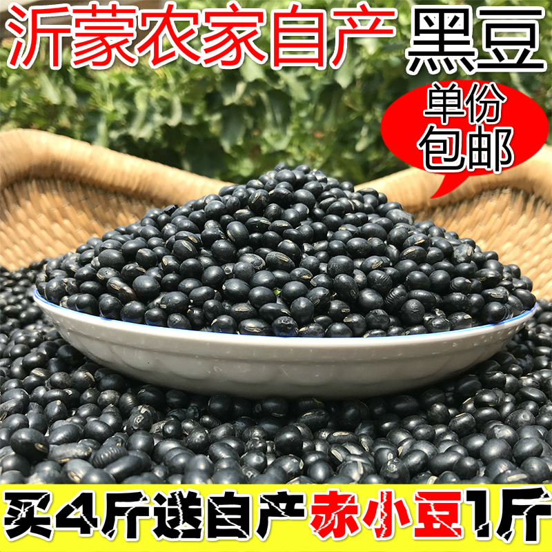 沂蒙农家自产绿芯黑豆非转基因杂粗粮可发芽大粒绿心种子500g包邮