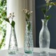 新款小口径细长虞美人玻璃花瓶水养干花鲜花插花瓶办公室桌面摆件