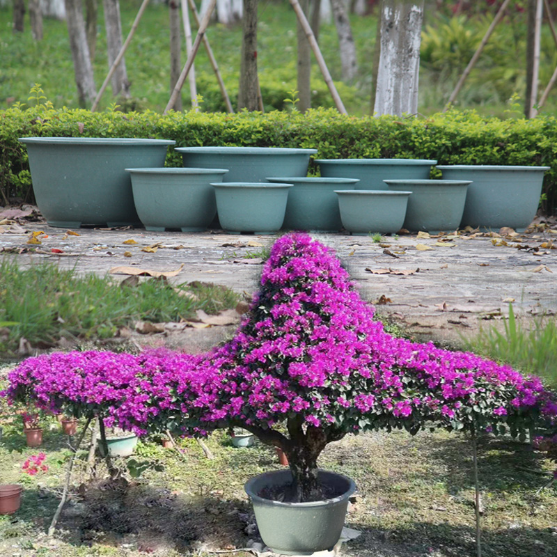 塑料 圆形特大号加厚庭院种树龙缸花盆送托盘 绿植特价 清仓 包邮