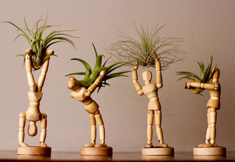 空气凤梨创意绿植实木花盆花托木人模型关节木偶人桌面摆件礼品