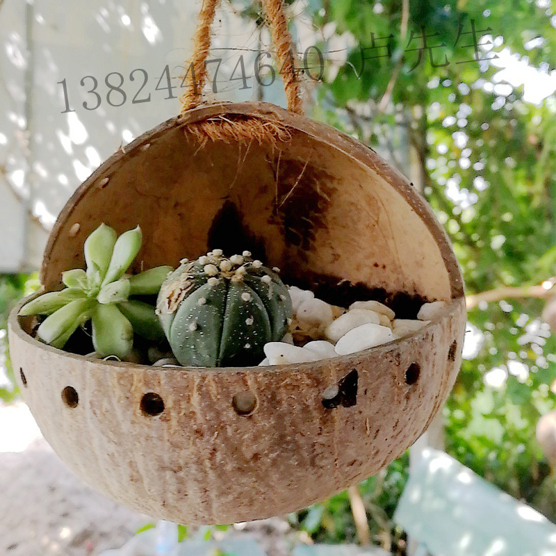 天然椰子壳花盆椰壳吊盆种植吊篮家居装饰悬挂花盆多肉植物花盆