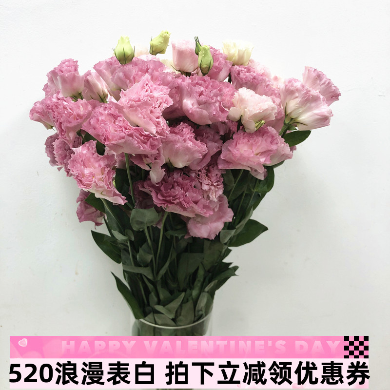 粉波浪龙胆洋桔梗鲜花妇女节花束水养