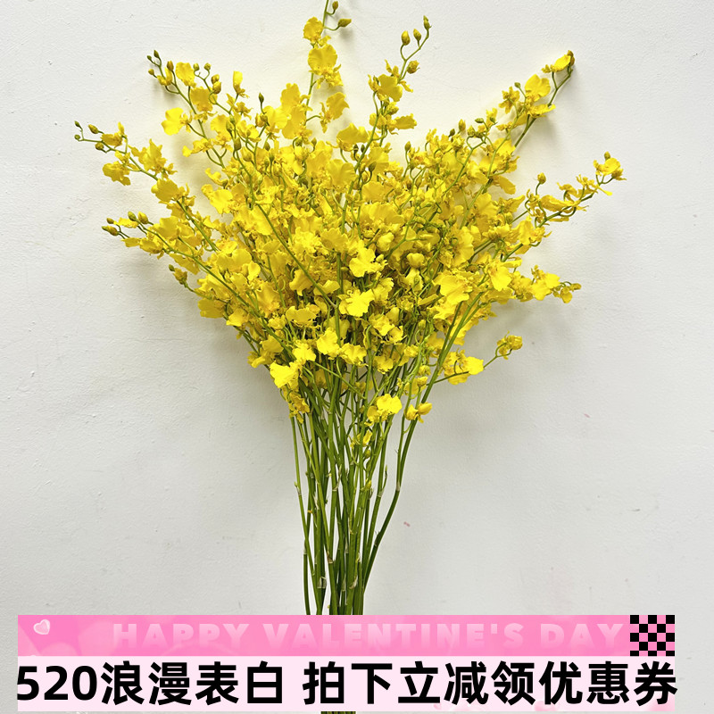 跳舞兰纯黄色文心兰鲜切花水养室内插花北京上海江苏同城鲜花速递