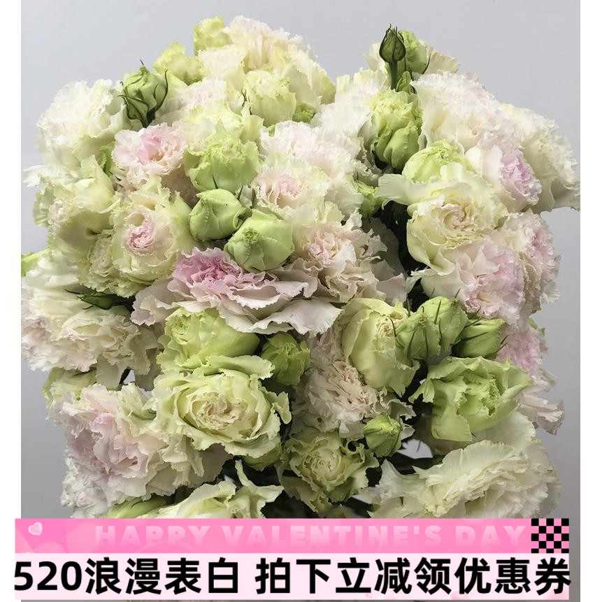 冰淇淋龙胆鲜花洋桔梗水培瓶插花女神