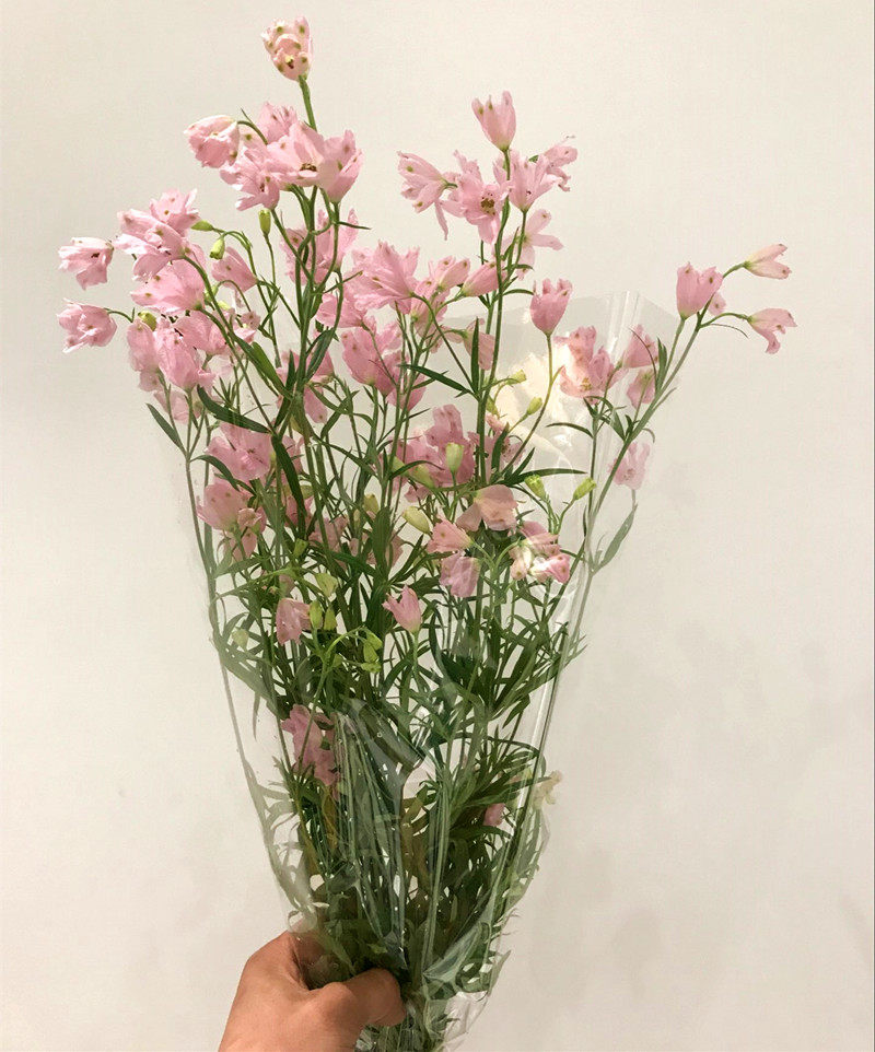 日本进口新鲜小飞燕生动花艺家庭插花婚礼捧花点缀生日礼物速递