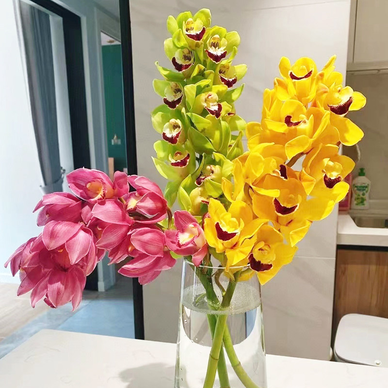 大花蕙兰兰花鲜花切花大花惠兰带花苞鲜切斗南基地直发年宵花过年