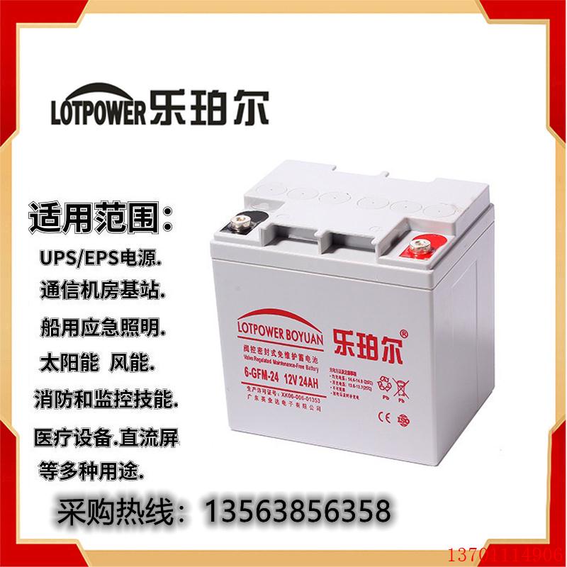 乐珀尔蓄电池6-GFM-24铅酸性 乐珀尔12V24AH 太阳能UPS电源直流屏