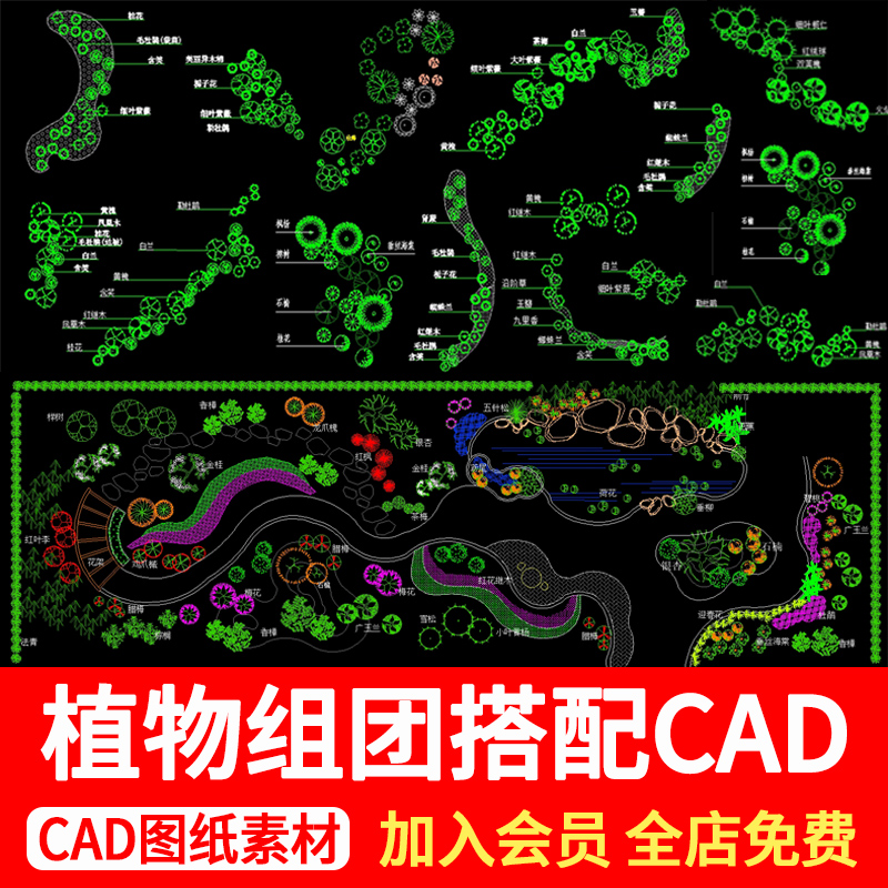 园林植物组团搭配CAD图景观花境设计花草灌木种植绿化配置平面图