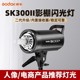 Godox神牛SK300W二代摄影闪光灯室内证件照小型摄影棚补光灯人像淘宝静物拍照DE300/SK300IIV四代影室灯套装