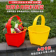 采摘水果提篮装水果蔬菜手提款采摘蘑菇等多功能户外野餐提篮挎篮