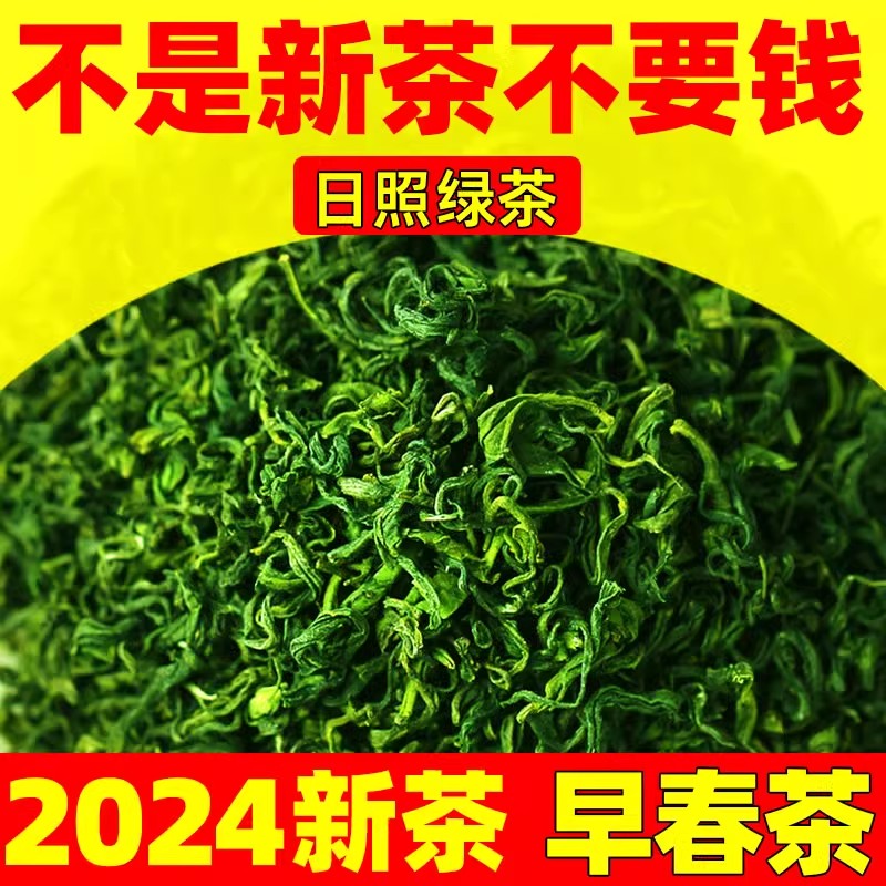 特级日照绿茶2024年新茶叶春茶正