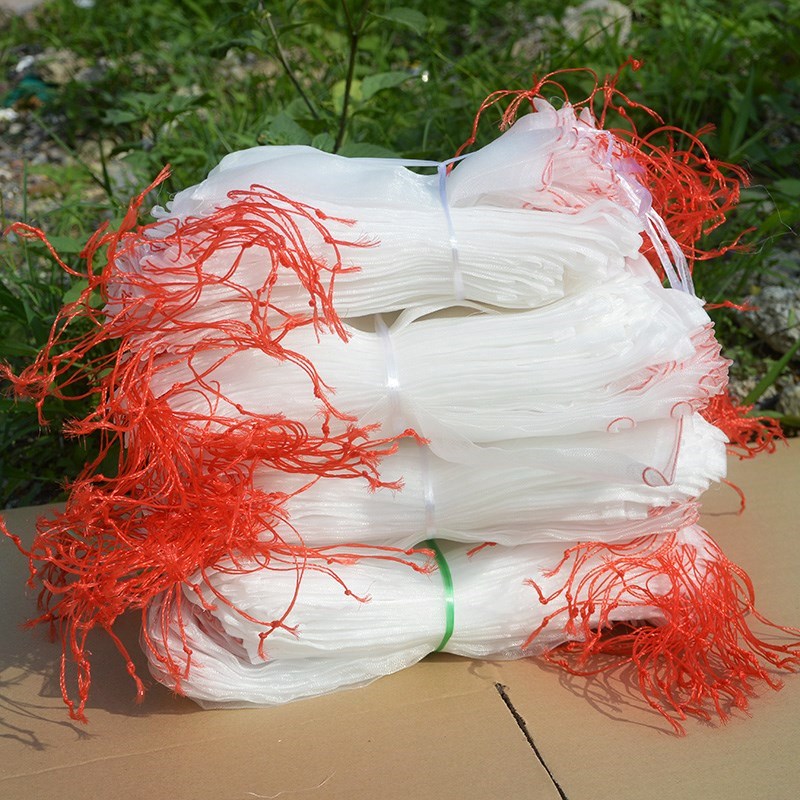 梨桃子育果袋枇杷葡萄套袋专用袋 保护袋防虫果实套袋葡萄袋在类目 鲜花速递/花卉仿真/绿植园艺, 园艺用品, 其它园艺用品中 - 来自Buy2taobao.com提供专业的淘宝代购服务