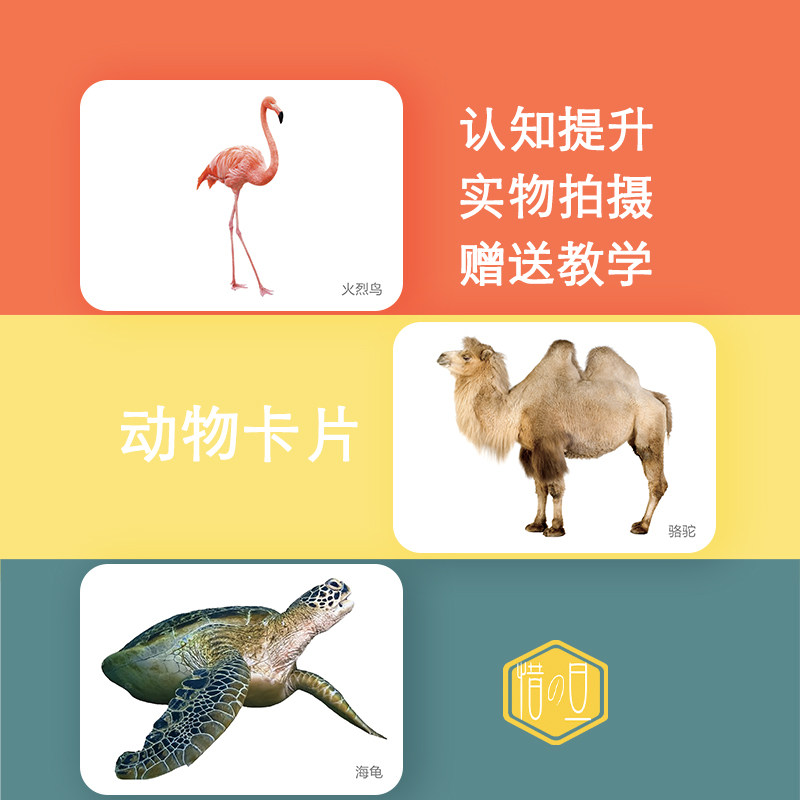 自闭症孤独症早期语言认知启蒙康复机构教具初期认知动物卡片玩具