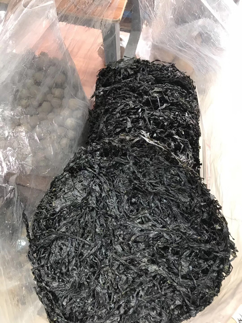 海陵岛阳江特产煮汤紫菜生紫菜野生散装正宗头水紫菜煲汤250g一包