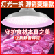 新国标led生鲜灯猪肉灯隐形红水果海鲜市场卤菜卤肉熟食店专用灯