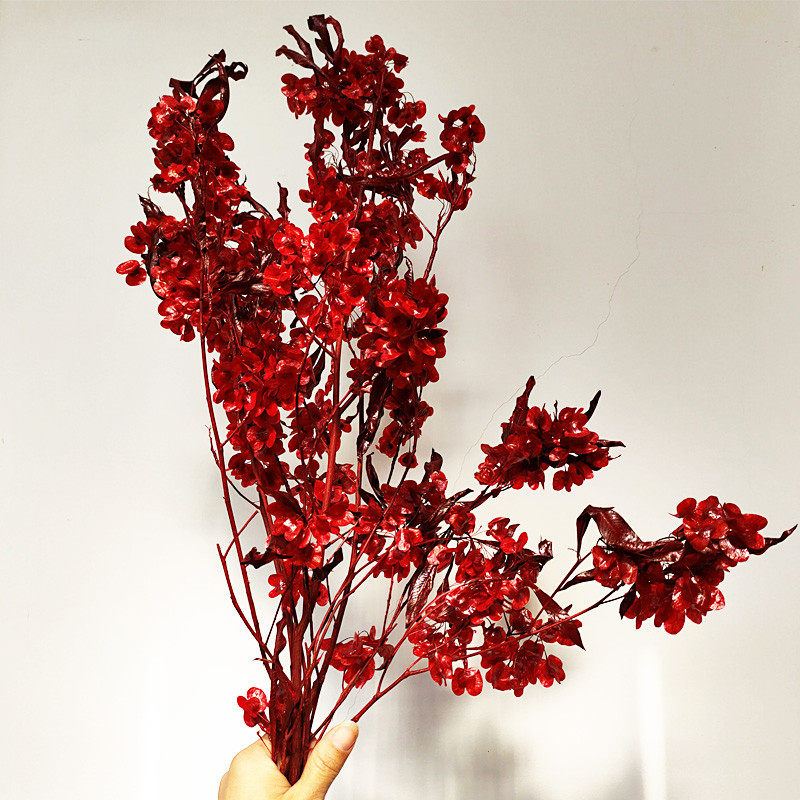 永生蝴蝶花干花迎客豆ins网红拍照装饰花插花年宵