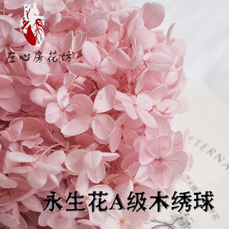 永生花A级木绣球花材diy包浮游花礼盒填充物1克装玻璃罩新娘头饰在类目 鲜花速递/花卉仿真/绿植园艺, 永生花/干花, 永生花中 - 来自Buy2taobao.com提供专业的淘宝代购服务